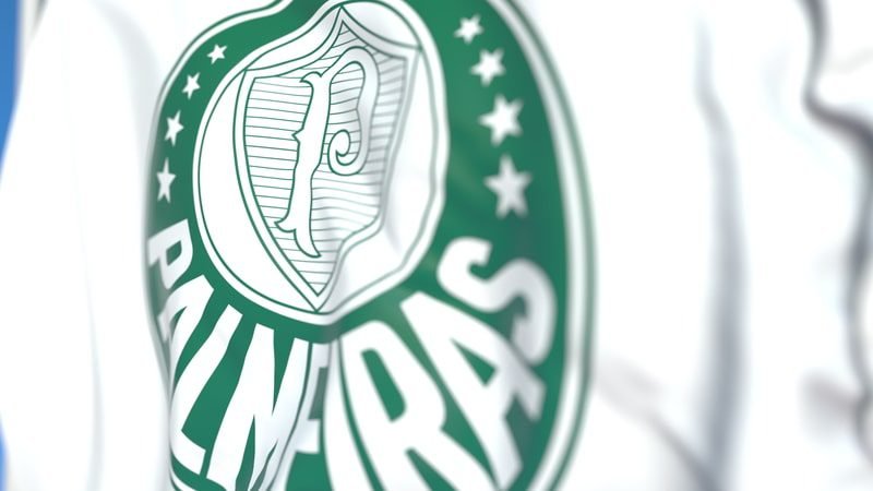 Jogadores Do Palmeiras Caem Em Golpe Financeiro Crypto Qual O