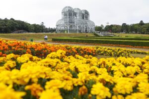 Visita ao Jardim Botânico de Curitiba - PR 1 Pedro Ribas smcs 1
