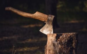 O machado salpicado é o melhor 1 shutterstock 531514507 vitalli khailov