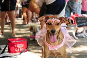 Entre o espelho e a carteira: como evitar gastos por impulso com cosméticos 8 shutterstock 1611785053 cintia erdens paiva