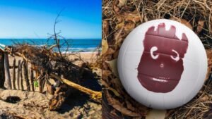 Como estudantes podem ganhar dinheiro nas férias? 5 slide naufrago