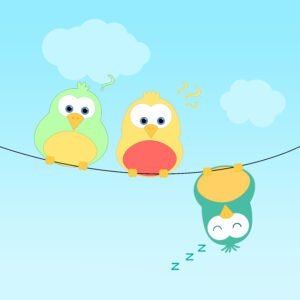 Passarinho que dorme com morcego acorda de cabeça para baixo 1 shutterstock 187399484 drical