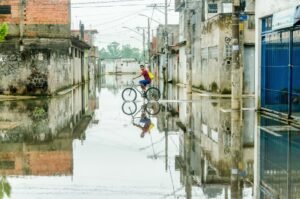 Castração gratuita de Animais em São Paulo - SP 12 shutterstock 473335363 gero rodrigues min