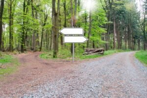 Externalidade: uma conta que impacta a todos nós 4 dreamstime s 116109966 julienviedts min