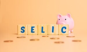O que muda nos investimentos com a Selic a 14,25% ao ano? 1 O que muda nos investimentos com a Selic a 14,25% ao ano?