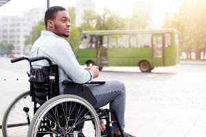 Castração de Animais domésticos - Mauá - SP 10 Gratuidade no Transporte para pcd