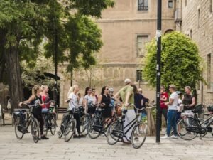 Adoção e Castração Gratuita de Animais em Indaiatuba-SP 3 Passeio Ciclístico gratuito
