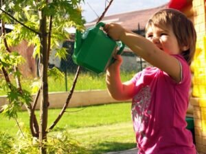 Adoção e Castração Gratuita de Animais em Indaiatuba-SP 4 Plantio de árvores gratuitamente
