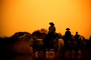 Transporte de Produtores Rurais em Tarauacá