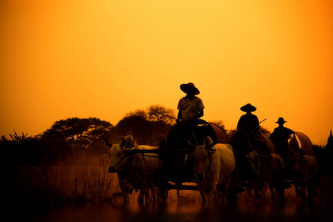 Transporte de Produtores Rurais em Tarauacá