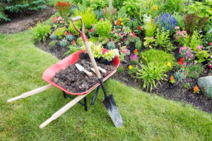 Solicitar doação de mudas de plantas